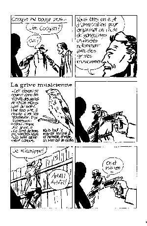 Alexis Allard, le N&deg;1 de la B&eacute;d&eacute; fran&ccedil;aise